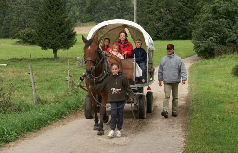 Excursions by horse-drawn cart or carriage
