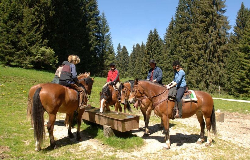 Balades à cheval accompagnées